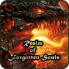 Realm of Forgotten Souls加速器