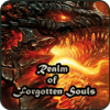 Realm of Forgotten Souls