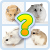 Guess Little Hamster加速器