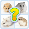 Guess Little Hamster