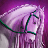 Unicorn Dash Horse Runner