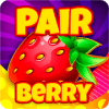 PairBerry加速器