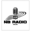 NB RADIO加速器