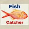 Fish Catcher Man加速器