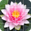 Tile Puzzle: beautiful flowers加速器