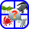 Animal Go - Vừa Chơi Vừa Học Tiếng Anh