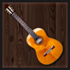 Super Guitar