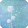 Becoming a Dandelion Spore加速器