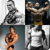 Guess the bodybuilder加速器