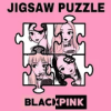 BLACKPINK Puzzle加速器