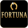 Play Wheel Fortuna!加速器