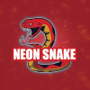 Neon SNAKE加速器