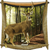 Brave Hunter 2019  deer_hunting加速器