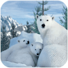 Polar Bear Family Survival加速器