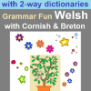 Grammar Fun Welsh with Cornish & Breton dictionary