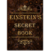 Einstein's secret book加速器