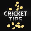 New Tips加速器