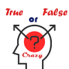 Crazy true false game