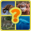 Endangered Species Guess Game加速器