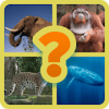 Endangered Species Guess Game