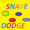 Snake Dodge加速器