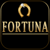 Play Wheel Fortuna Game加速器