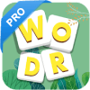 Word Master Pro加速器