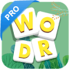 Word Master Pro