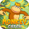 Monkey Catch加速器