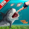 Killer Shark Deadly Attack 2019