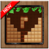 Block Puzzle  Wood Breaker