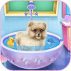 beautiful caring dog game加速器