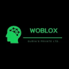 Woblox加速器