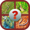 Animals QuizLearn All animals Travia
