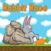Impossible Rabbit Race加速器