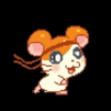 GO hamtaro rum - aventura加速器