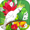 Tap Coloring Book  Color By Number