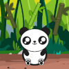 Catching Bamboo - Panda Island