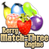 Berry Match加速器