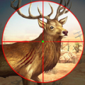 Hunting Sniper 3D