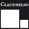 Claudnelso加速器