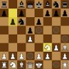 Chess 55