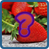 Jeu de Fruits Pour Enfants