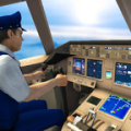 Flight Simulator 2019 - Free Flying