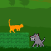 Catter