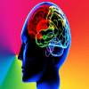 Follow Brain Memory Simon Puzzle