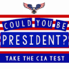 Could YOU Be President加速器