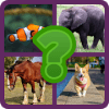 Guess Animal Names Kostenlos