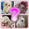 What are Baby Animals Called加速器