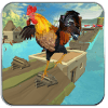 Farm Rooster Stunts & Water Run **